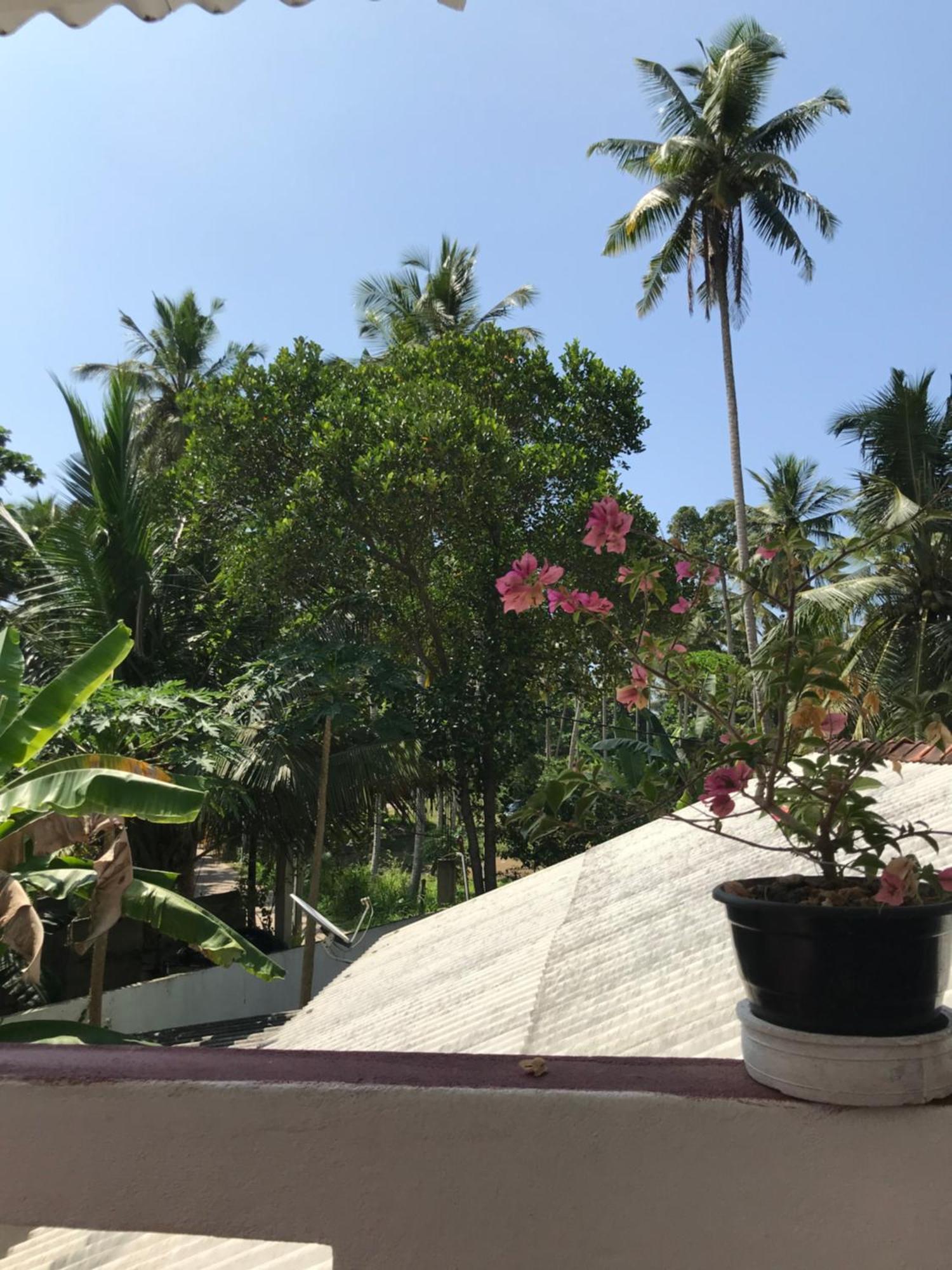 Jungle Villa Ahangama Pokój zdjęcie